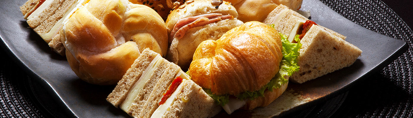 slideshow, muse-themes.com, adobe muse, website, beautiful, jeremy goldberg